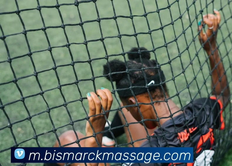 登录器
